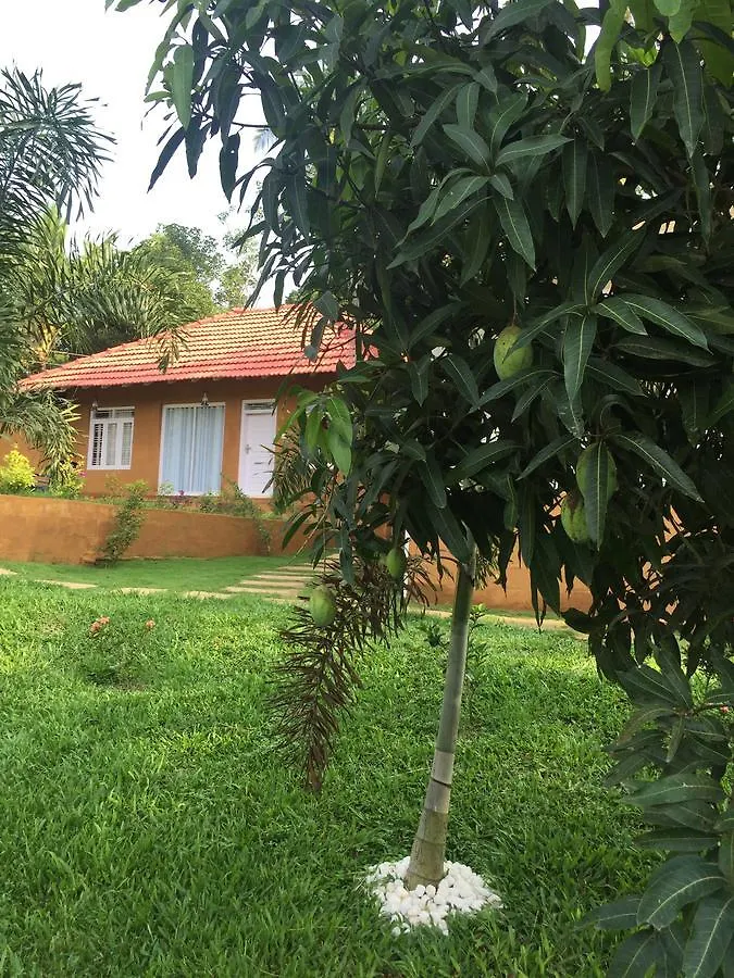 סולטאן באטרי Aurum White Lily Resort